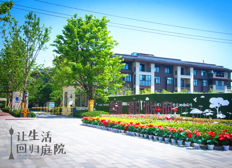 前后张望南阳50年：这样的庭院，，，，，，很难再有了！