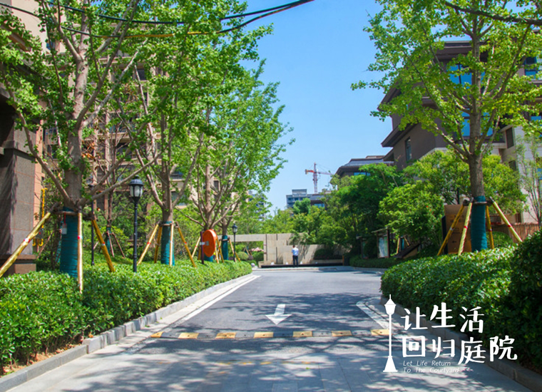 前后张望南阳50年：这样的庭院，，，，，，很难再有了！