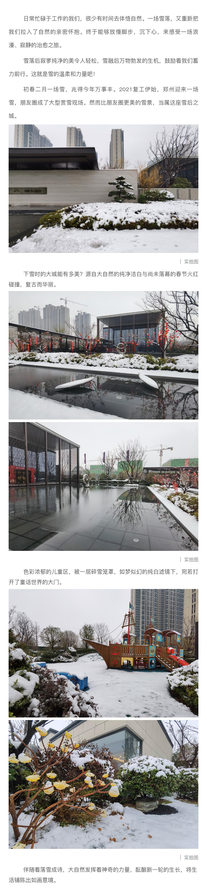 2021浪漫开年，，，，，共赏一场鹅毛大雪！