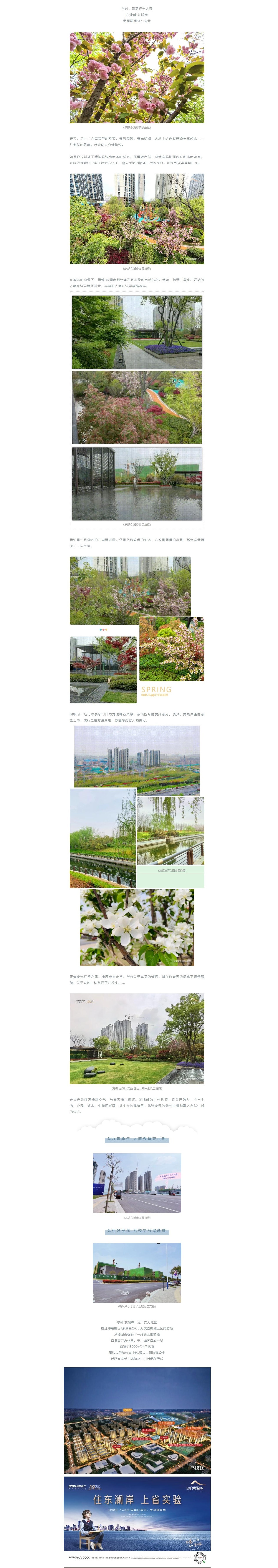 赏花踏青，，来一场和春天的约会